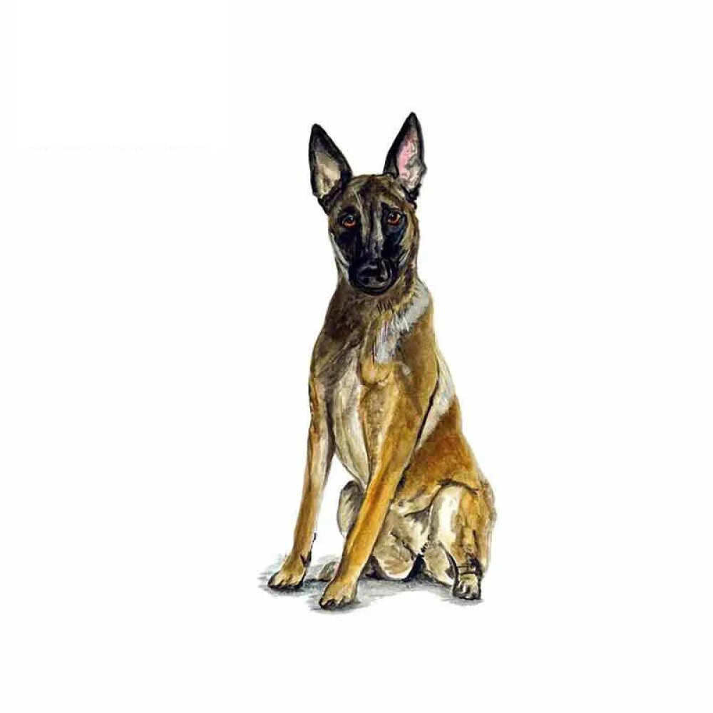 Funny Dog Graphics Vinyl Stickers for Police, Rescue, and Guard Dogs -